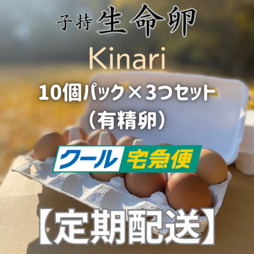 kinari_T-30C