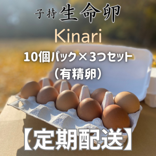 kinari_T-30