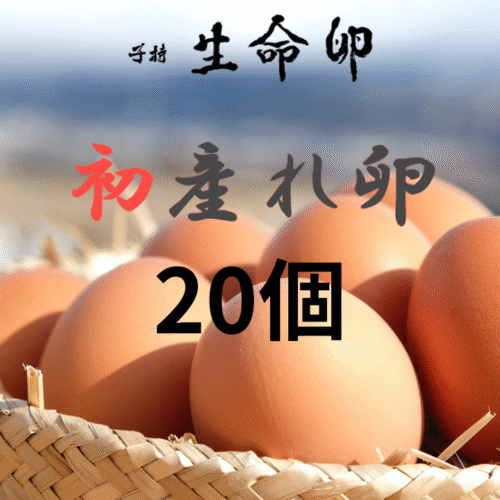 hatsu_020