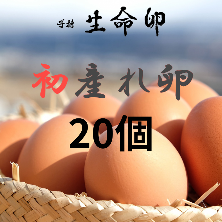 hatsu_020