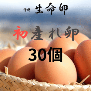 hatsu_030
