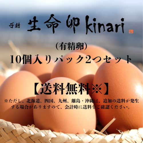 kinari_20