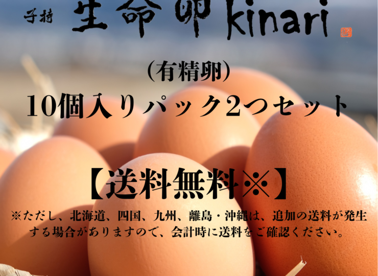 kinari_20