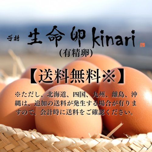 kinari_ALL