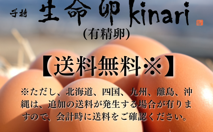 kinari_ALL