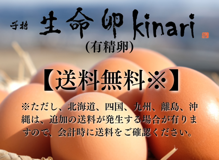 kinari_ALL