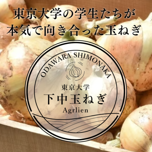 Agrlien_onion2026